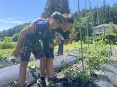 野菜の観察をする子どもたち