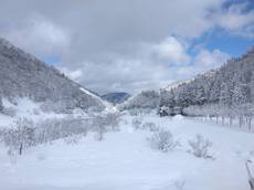 センター裏の雪景色にルン♪