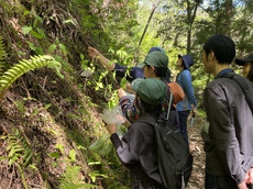 親子で山菜採り