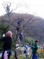 高い所まで登りました