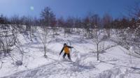 ふかふかの雪を滑っています