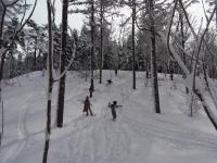 時には森に入って粉雪滑走