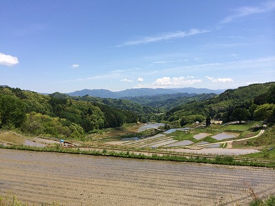 新緑が美しい八坂切久保地区