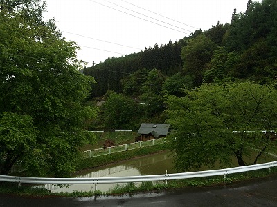 恵みの雨