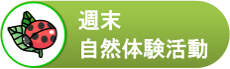 週末の自然体験キャンプ