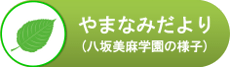 やまなみだより