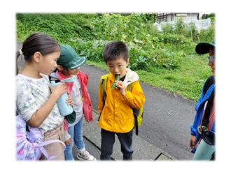 写真：野菜の収穫（低学年）