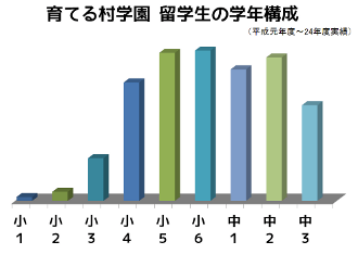 留学生の学年構成