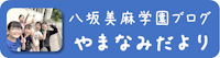 やまなみだより
